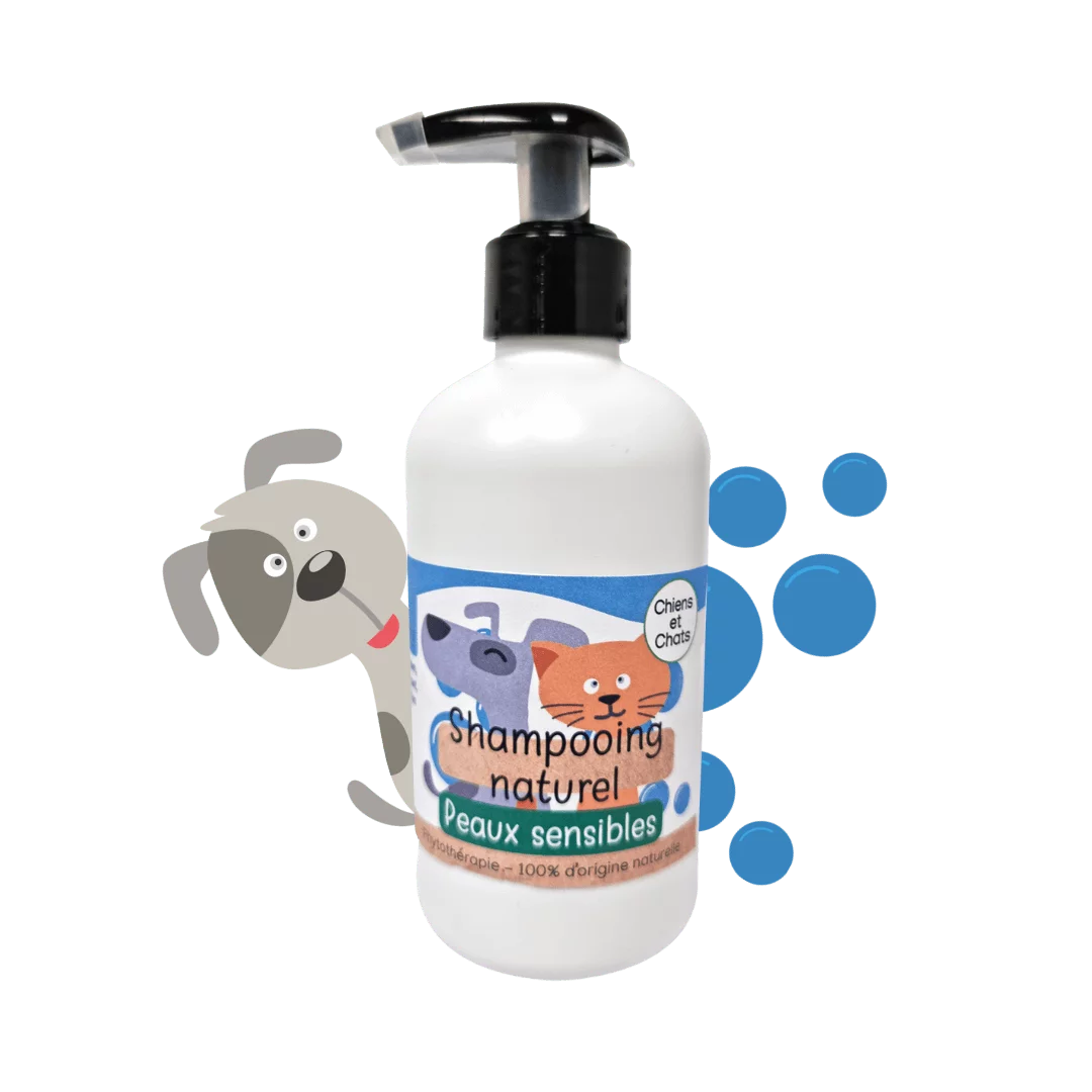 Shampoing naturel 250mL – Peaux sensibles | Kas Tete