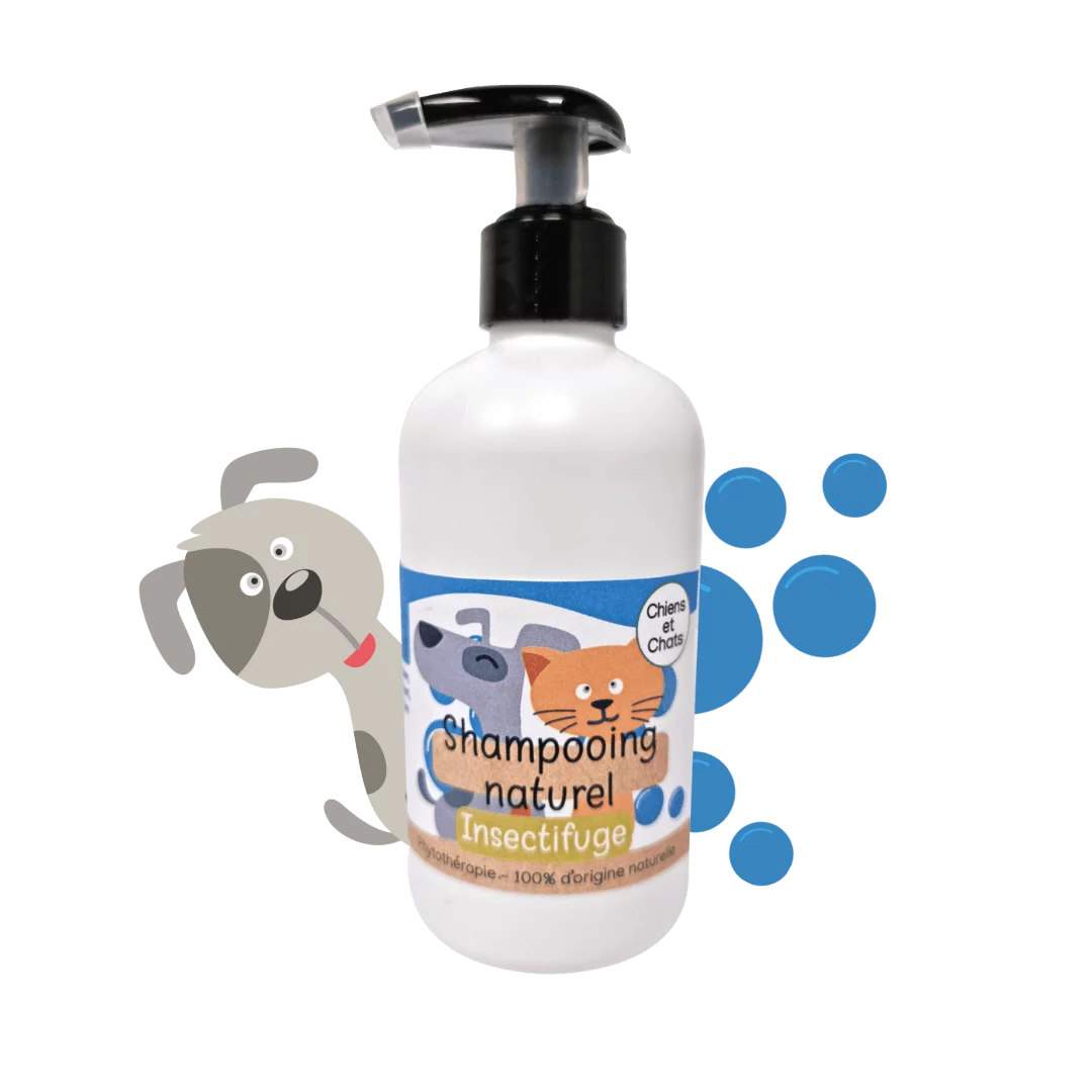 Shampooing naturel Insectifuge pour Chiens | Kas tête