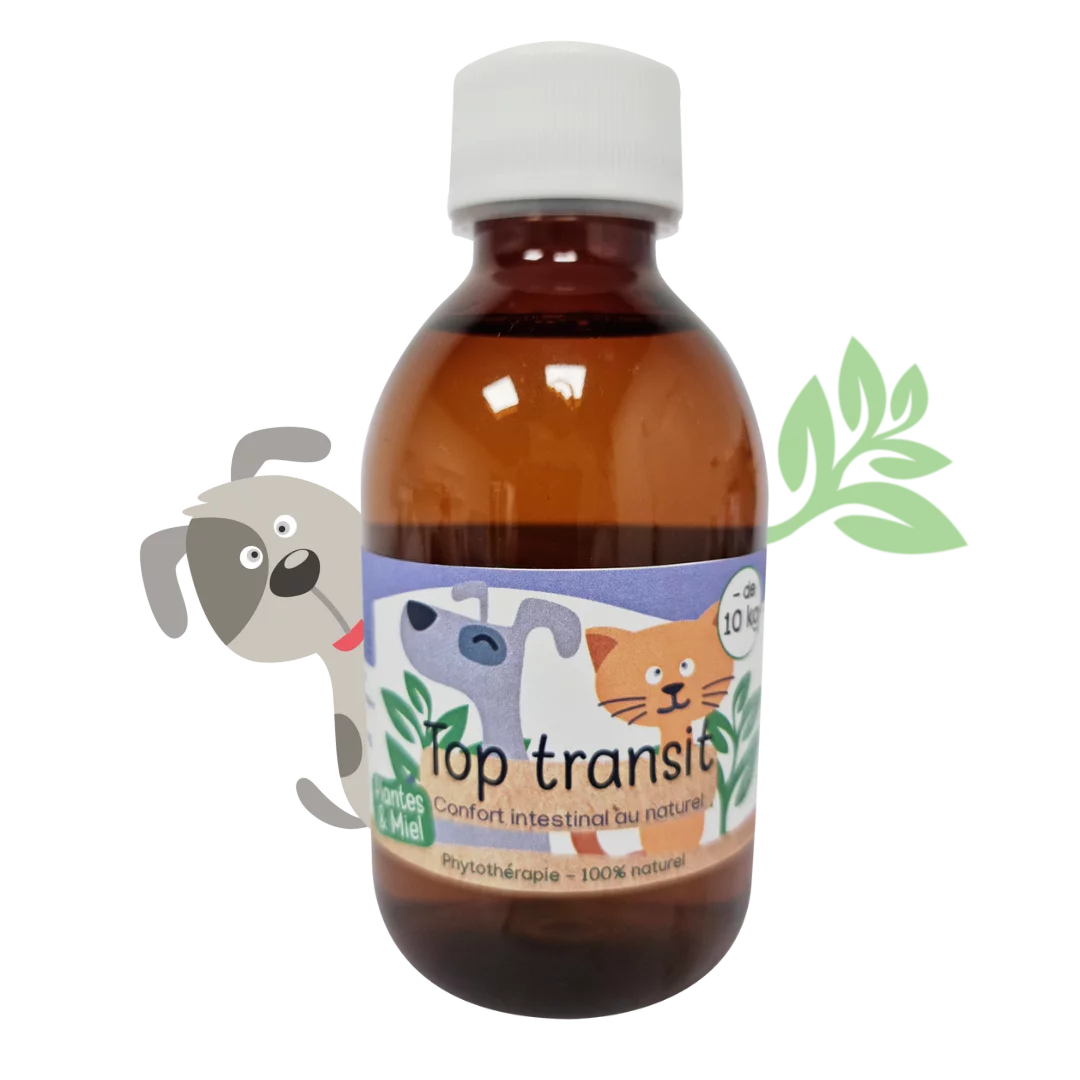 Top Transit Chiens 200mL |Kas tête