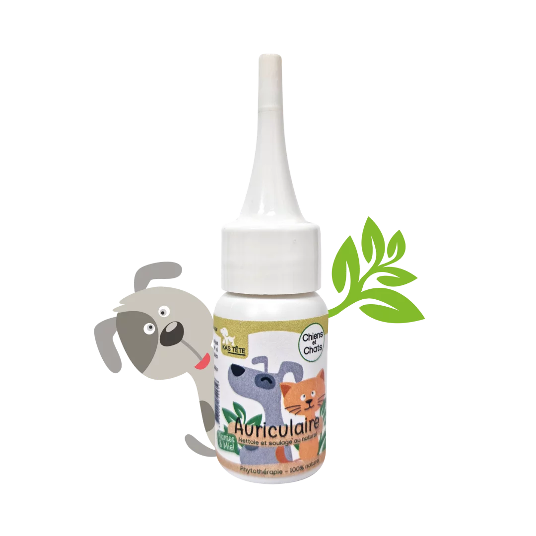 Soin Auriculaire Naturel chien | Kas tête