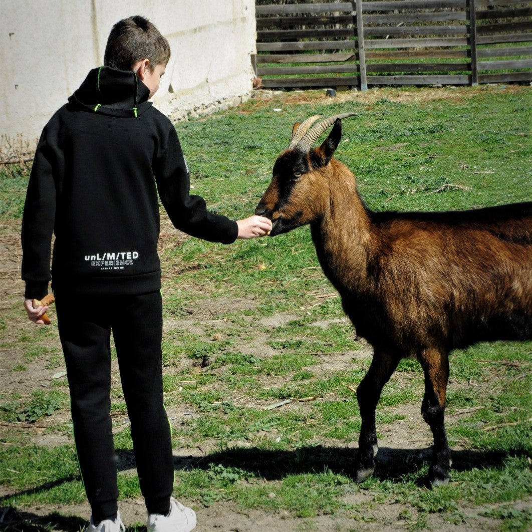 Médiation Animale (Zoothérapie)