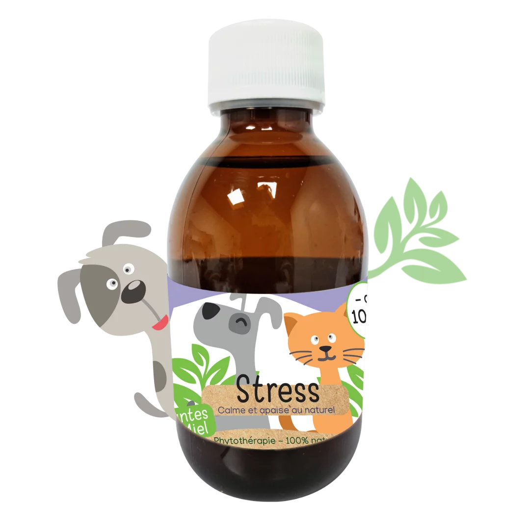 Stress 300mL – Chiens | Kas tête